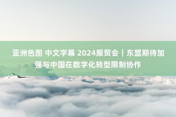 亚洲色图 中文字幕 2024服贸会｜东盟期待加强与中国在数字化转型限制协作