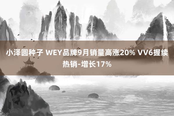 小泽圆种子 WEY品牌9月销量高涨20% VV6握续热销-增长17%