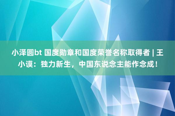 小泽圆bt 国度勋章和国度荣誉名称取得者 | 王小谟：独力新生，中国东说念主能作念成！