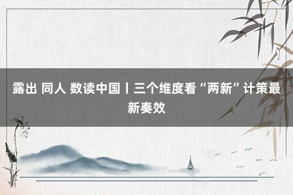 露出 同人 数读中国丨三个维度看“两新”计策最新奏效