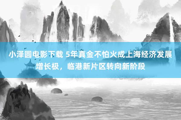 小泽圆电影下载 5年真金不怕火成上海经济发展增长极，临港新片区转向新阶段