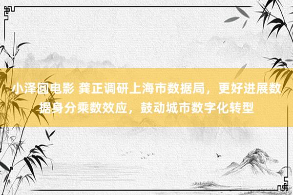 小泽圆电影 龚正调研上海市数据局，更好进展数据身分乘数效应，鼓动城市数字化转型