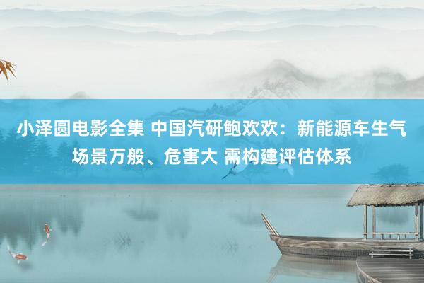 小泽圆电影全集 中国汽研鲍欢欢：新能源车生气场景万般、危害大 需构建评估体系