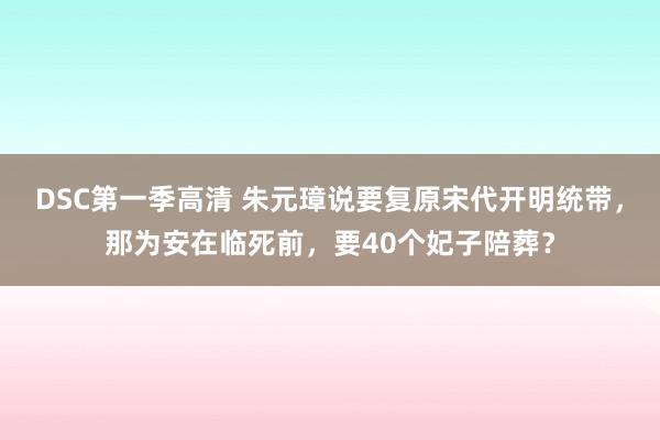 DSC第一季高清 朱元璋说要复原宋代开明统带，那为安在临死前，要40个妃子陪葬？