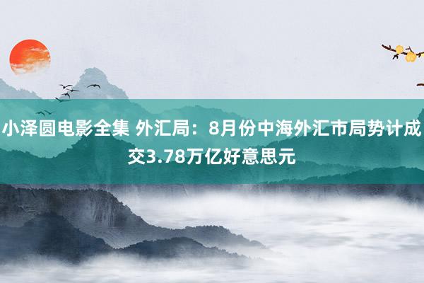 小泽圆电影全集 外汇局：8月份中海外汇市局势计成交3.78万亿好意思元