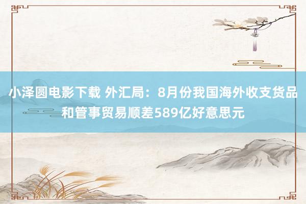 小泽圆电影下载 外汇局：8月份我国海外收支货品和管事贸易顺差589亿好意思元