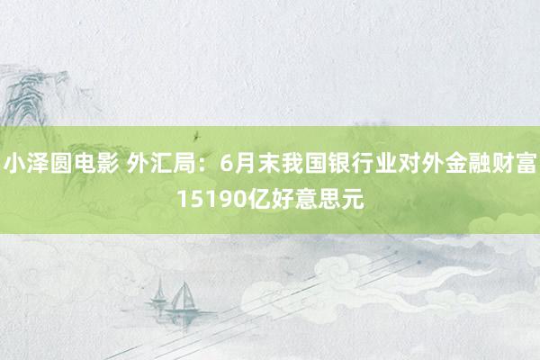 小泽圆电影 外汇局：6月末我国银行业对外金融财富15190亿好意思元