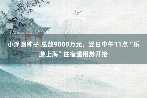 小泽圆种子 总数9000万元，翌日中午11点“乐游上海”住宿滥用券开抢