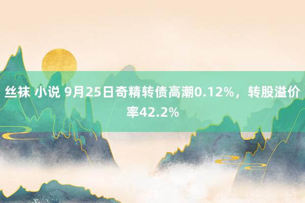 丝袜 小说 9月25日奇精转债高潮0.12%，转股溢价率42.2%