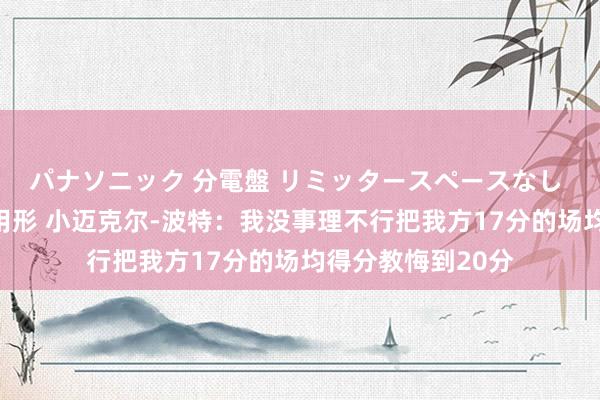 パナソニック 分電盤 リミッタースペースなし 露出・半埋込両用形 小迈克尔-波特：我没事理不行把我方17分的场均得分教悔到20分