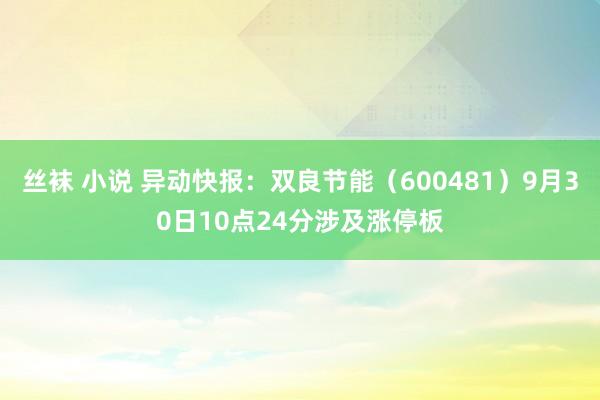 丝袜 小说 异动快报：双良节能（600481）9月30日10点24分涉及涨停板