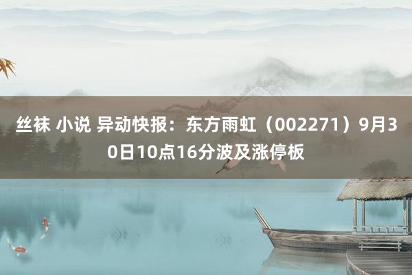 丝袜 小说 异动快报：东方雨虹（002271）9月30日10点16分波及涨停板