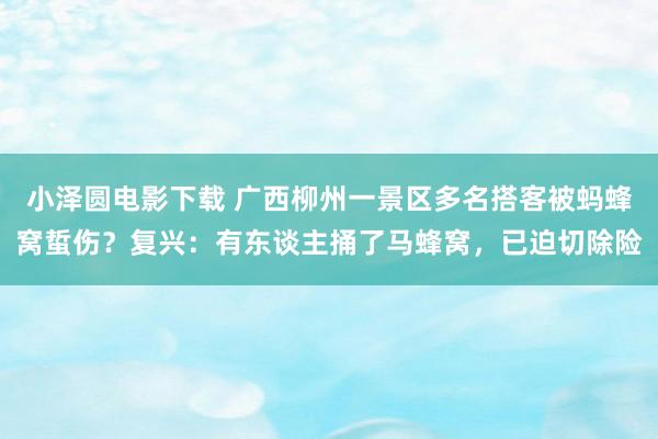 小泽圆电影下载 广西柳州一景区多名搭客被蚂蜂窝蜇伤？复兴：有东谈主捅了马蜂窝，已迫切除险