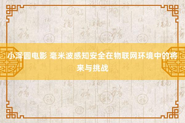 小泽圆电影 毫米波感知安全在物联网环境中的将来与挑战