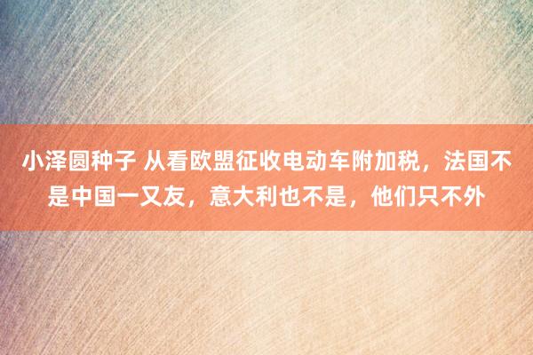 小泽圆种子 从看欧盟征收电动车附加税，法国不是中国一又友，意大利也不是，他们只不外