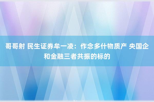 哥哥射 民生证券牟一凌：作念多什物质产 央国企和金融三者共振的标的