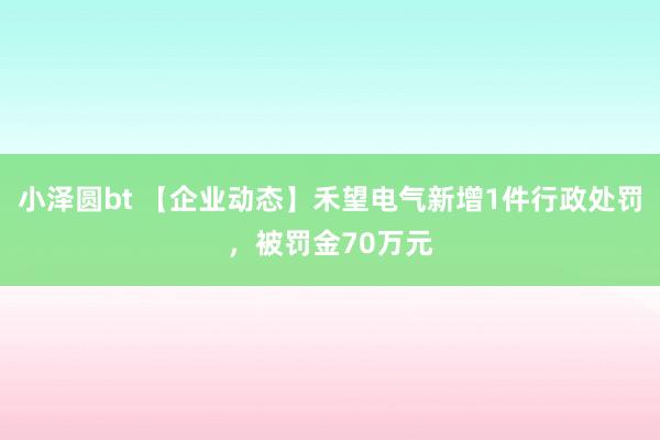 小泽圆bt 【企业动态】禾望电气新增1件行政处罚，被罚金70万元