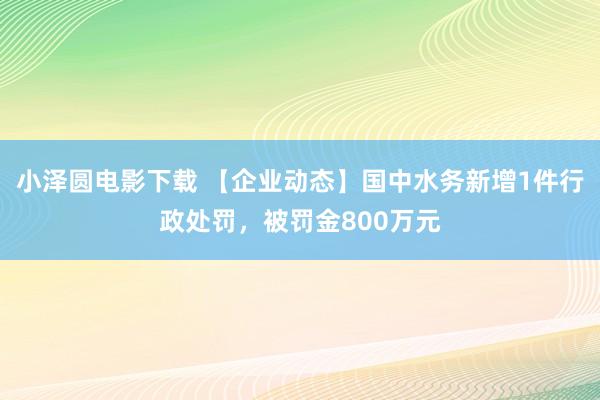 小泽圆电影下载 【企业动态】国中水务新增1件行政处罚，被罚金800万元