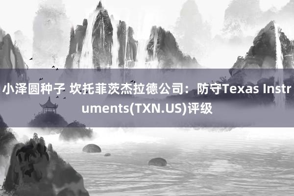 小泽圆种子 坎托菲茨杰拉德公司：防守Texas Instruments(TXN.US)评级