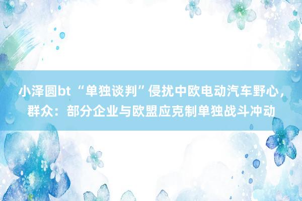 小泽圆bt “单独谈判”侵扰中欧电动汽车野心，群众：部分企业与欧盟应克制单独战斗冲动