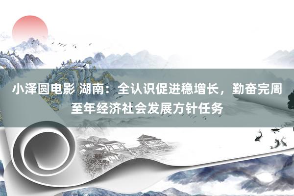 小泽圆电影 湖南：全认识促进稳增长，勤奋完周至年经济社会发展方针任务