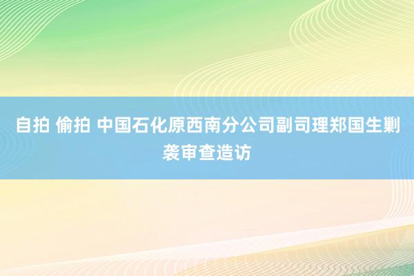 自拍 偷拍 中国石化原西南分公司副司理郑国生剿袭审查造访