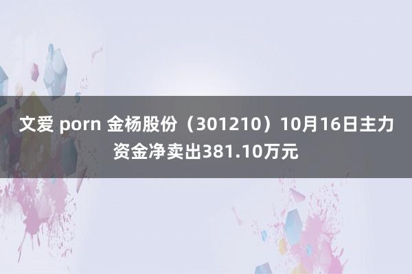 文爱 porn 金杨股份（301210）10月16日主力资金净卖出381.10万元