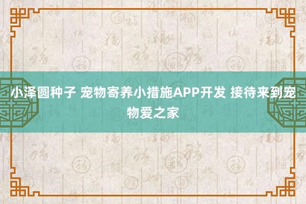 小泽圆种子 宠物寄养小措施APP开发 接待来到宠物爱之家