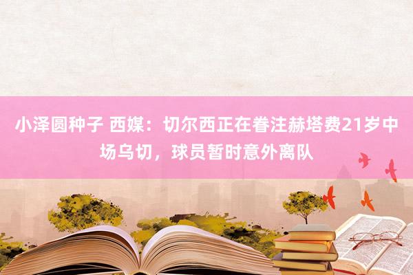 小泽圆种子 西媒：切尔西正在眷注赫塔费21岁中场乌切，球员暂时意外离队