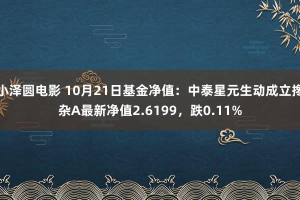 小泽圆电影 10月21日基金净值：中泰星元生动成立搀杂A最新净值2.6199，跌0.11%