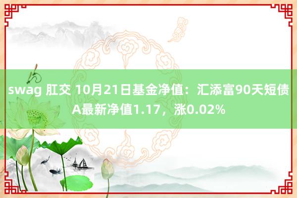 swag 肛交 10月21日基金净值：汇添富90天短债A最新净值1.17，涨0.02%