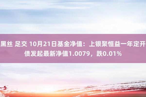 黑丝 足交 10月21日基金净值：上银聚恒益一年定开债发起最新净值1.0079，跌0.01%