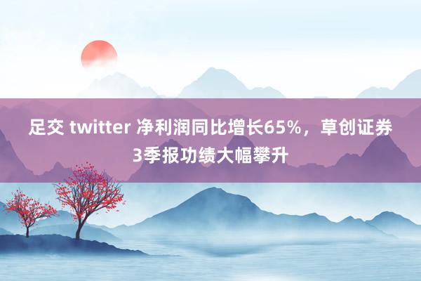 足交 twitter 净利润同比增长65%，草创证券3季报功绩大幅攀升