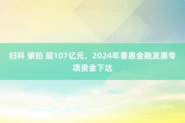 妇科 偷拍 超107亿元，2024年普惠金融发展专项资金下达