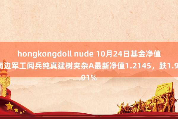 hongkongdoll nude 10月24日基金净值：南边军工阅兵纯真建树夹杂A最新净值1.2145，跌1.91%