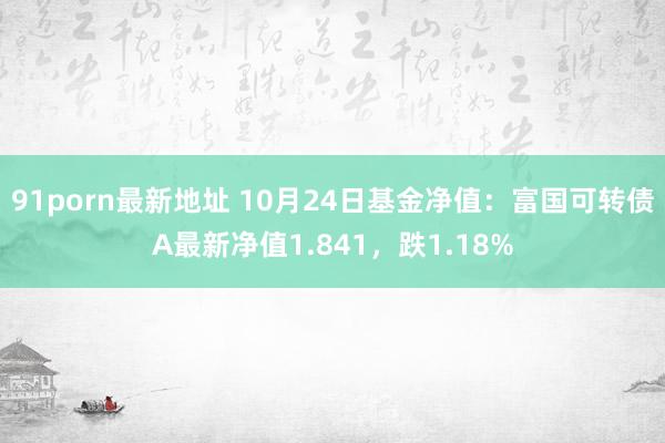 91porn最新地址 10月24日基金净值：富国可转债A最新净值1.841，跌1.18%