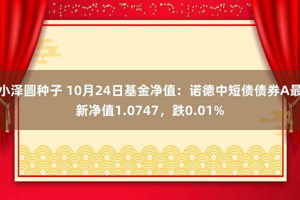 小泽圆种子 10月24日基金净值：诺德中短债债券A最新净值1.0747，跌0.01%