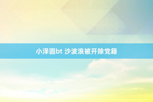 小泽圆bt 沙波浪被开除党籍