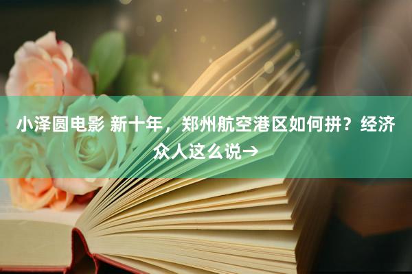 小泽圆电影 新十年，郑州航空港区如何拼？经济众人这么说→