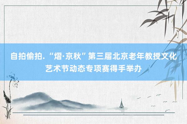 自拍偷拍. “熠·京秋”第三届北京老年教授文化艺术节动态专项赛得手举办