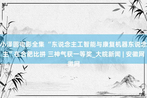 小泽圆电影全集 “东说念主工智能与康复机器东说念主”在合肥比拼 三神气获一等奖_大皖新闻 | 安徽网