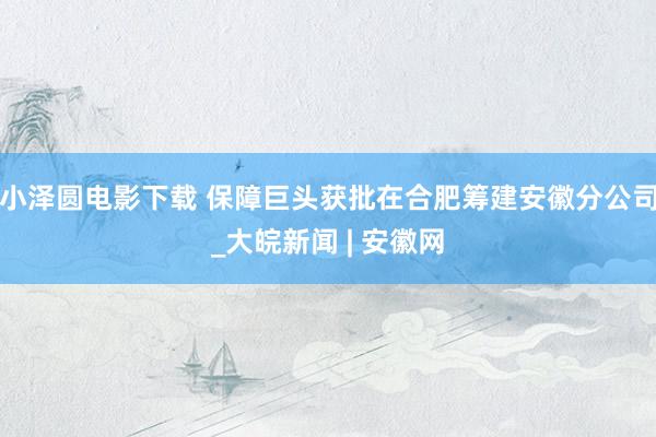 小泽圆电影下载 保障巨头获批在合肥筹建安徽分公司_大皖新闻 | 安徽网