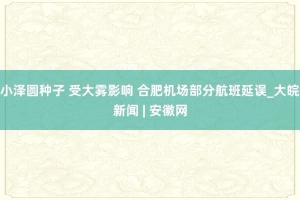 小泽圆种子 受大雾影响 合肥机场部分航班延误_大皖新闻 | 安徽网