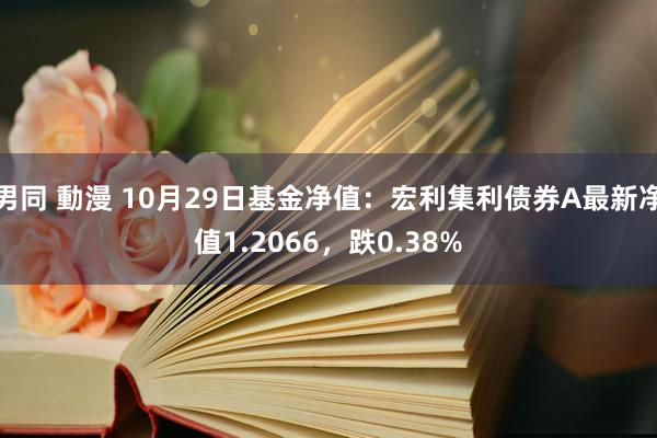 男同 動漫 10月29日基金净值：宏利集利债券A最新净值1.2066，跌0.38%