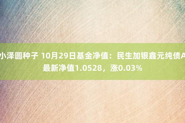 小泽圆种子 10月29日基金净值：民生加银鑫元纯债A最新净值1.0528，涨0.03%