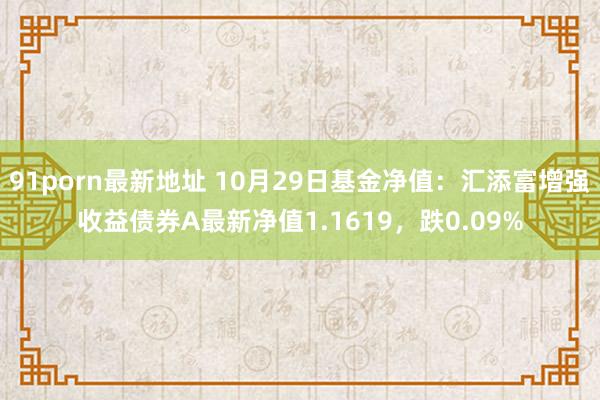 91porn最新地址 10月29日基金净值：汇添富增强收益债券A最新净值1.1619，跌0.09%