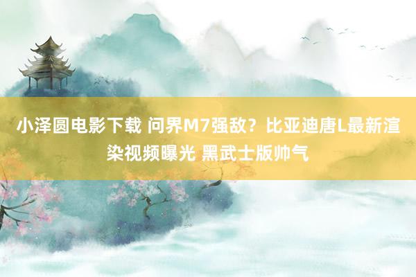 小泽圆电影下载 问界M7强敌？比亚迪唐L最新渲染视频曝光 黑武士版帅气