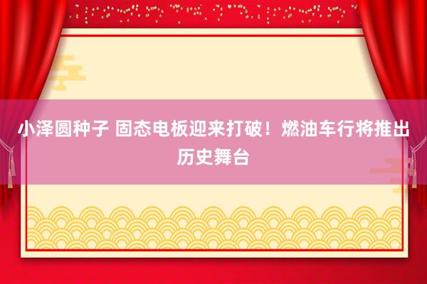 小泽圆种子 固态电板迎来打破！燃油车行将推出历史舞台