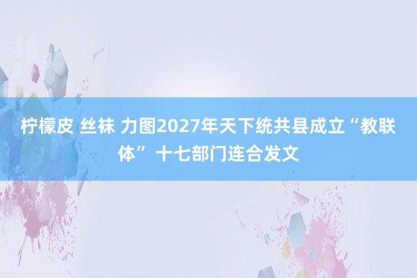 柠檬皮 丝袜 力图2027年天下统共县成立“教联体” 十七部门连合发文