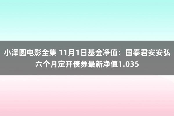 小泽圆电影全集 11月1日基金净值：国泰君安安弘六个月定开债券最新净值1.035